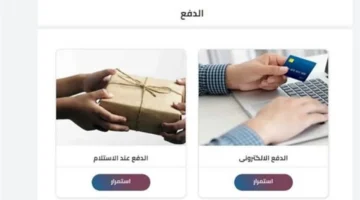 تفاصيل غرامة.. تعرف على خطوات الاستعلام الدقيق عن مخالفات السيارات في مصر 2025